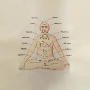 Uygulamalı Yoga Felsefesi Ve Psikolojisi (5 Mart-10 Nisan)