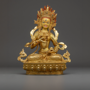 Bora Ercan ile Vajravidarana Sutra